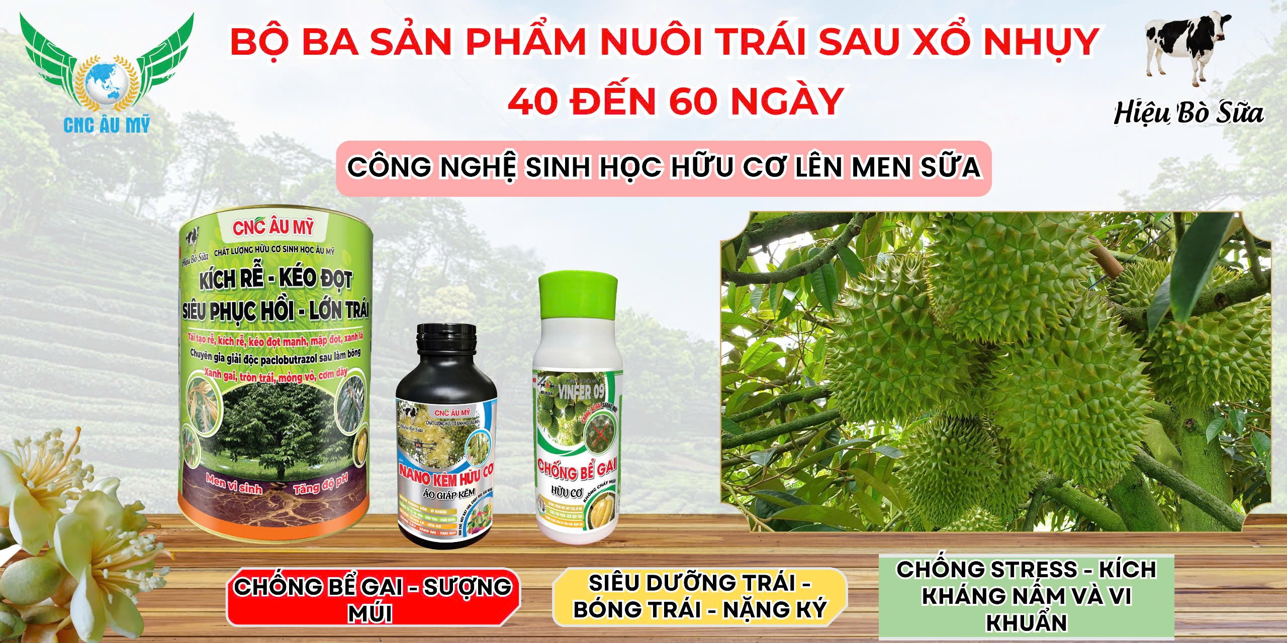 BỘ SẢN PHẨM NUÔI TRÁI SAU XỔ NHỤY 40-60 NGÀY