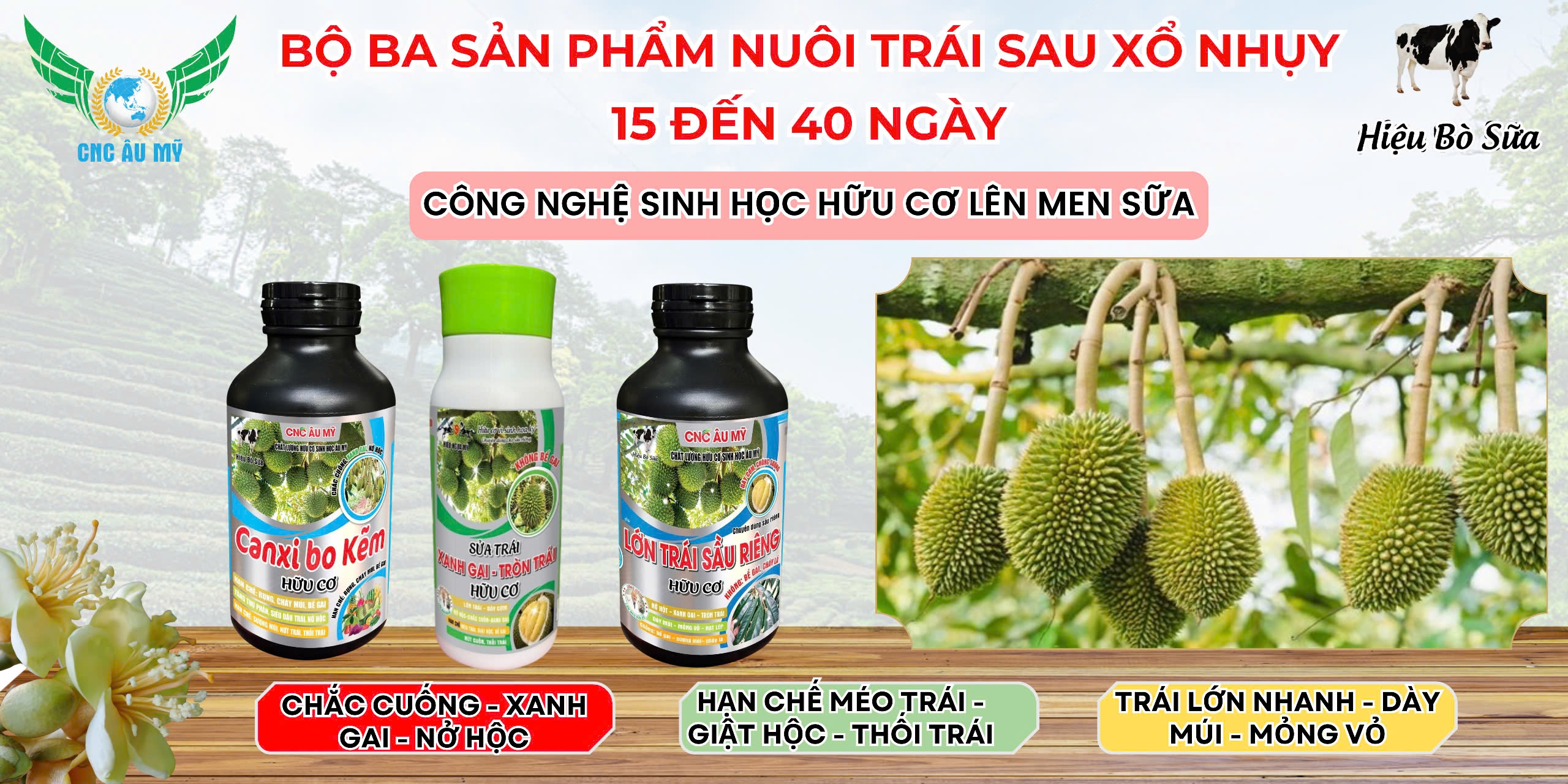 BỘ SẢN PHẨM NUÔI TRÁI SAU XỔ NHỤY 15-40 NGÀY