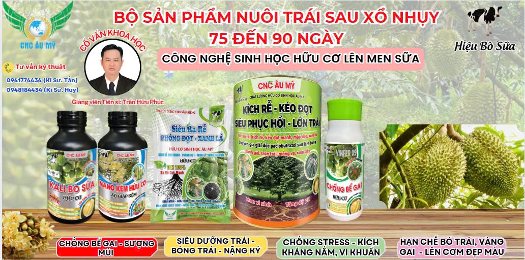 BỘ SẢN PHẨM NUÔI TRÁI SAU XỔ NHỤY 75- 90 NGÀY