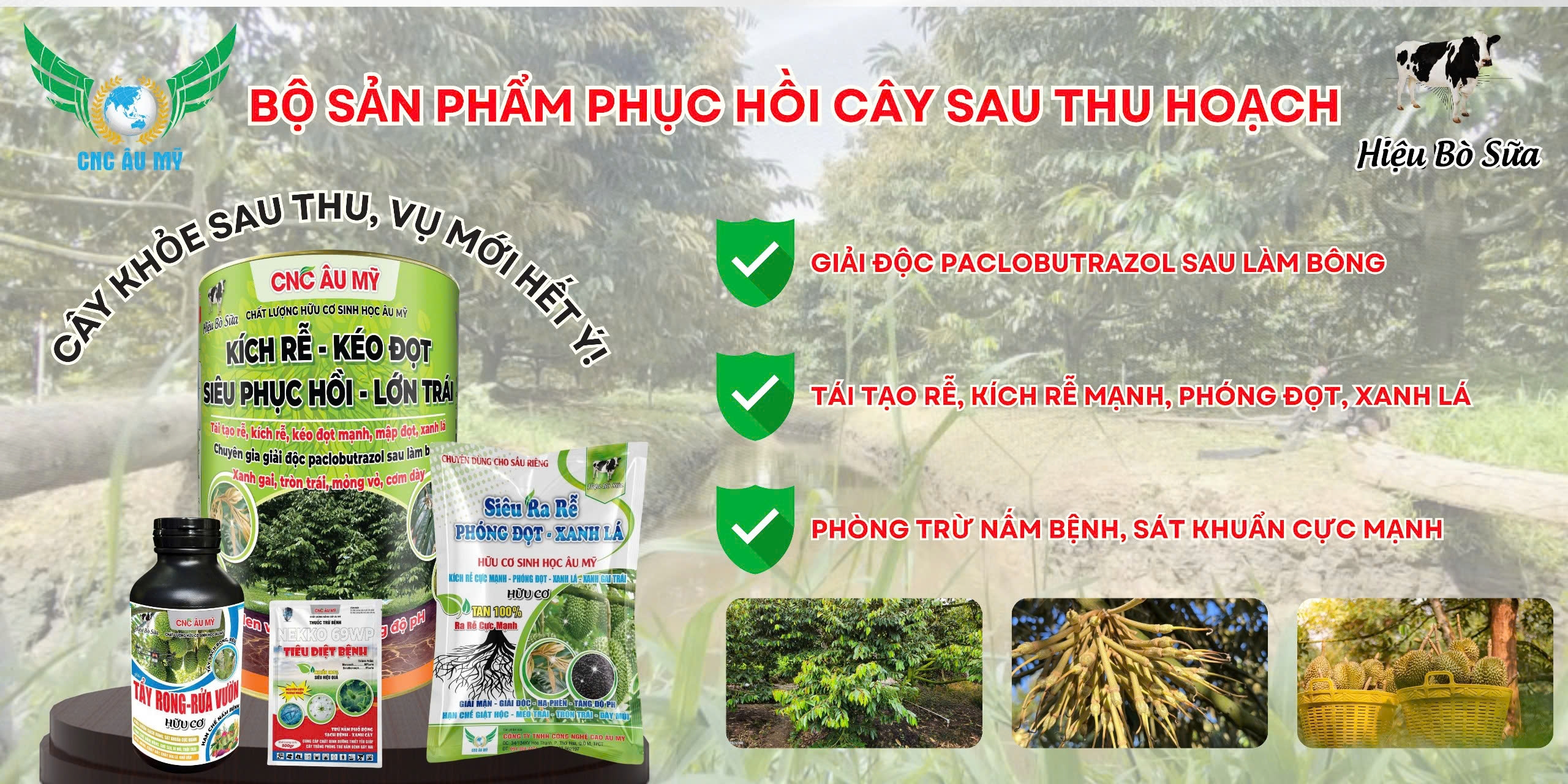 BỘ SẢN PHẨM PHỤC HỒI SAU THU HOẠCH