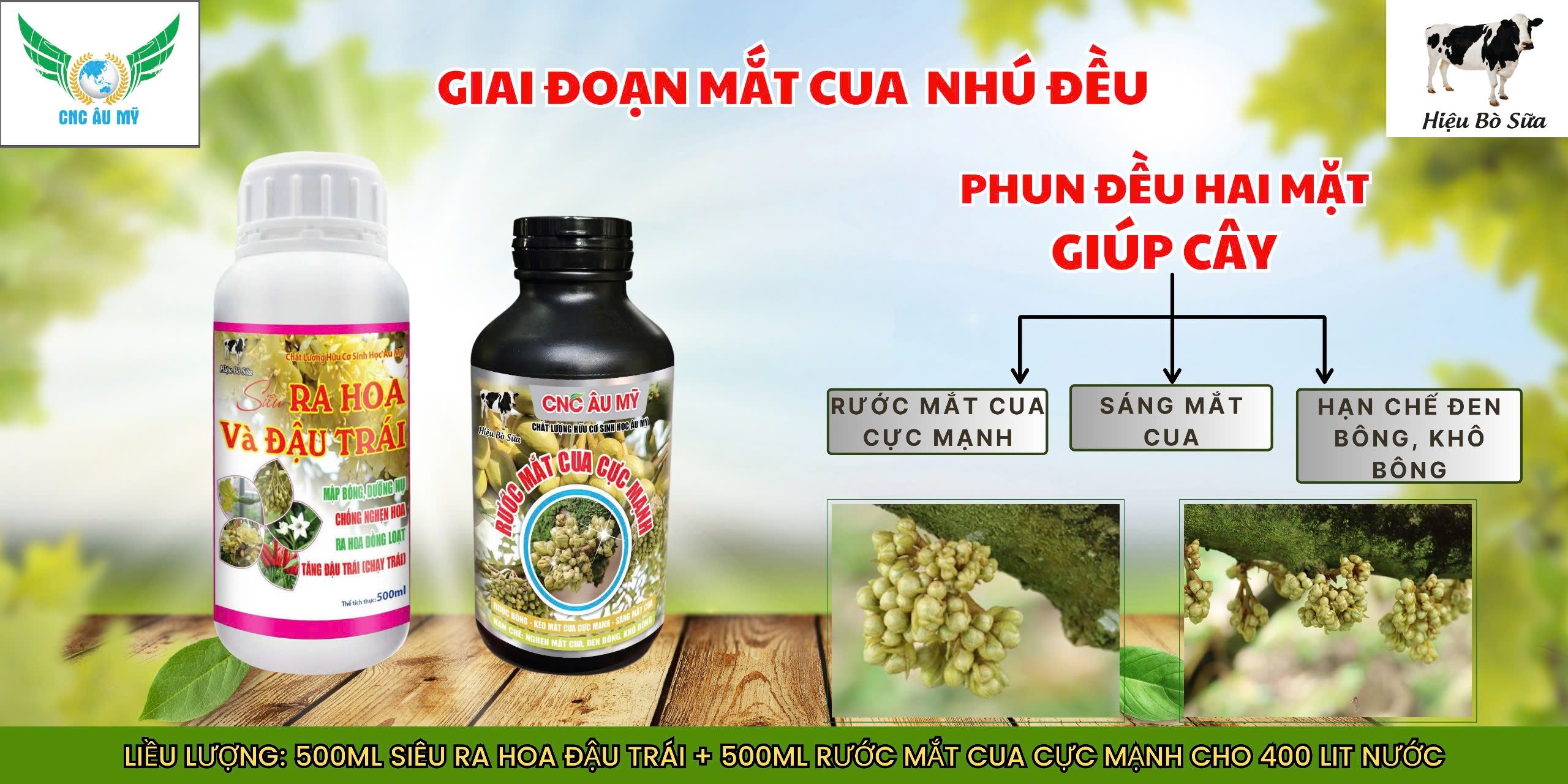 BỘ SẢN PHẨM RƯỚC MẮT CUA