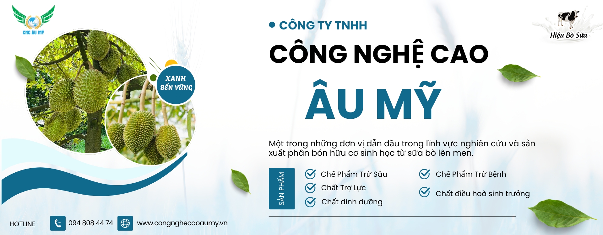 Banner chính