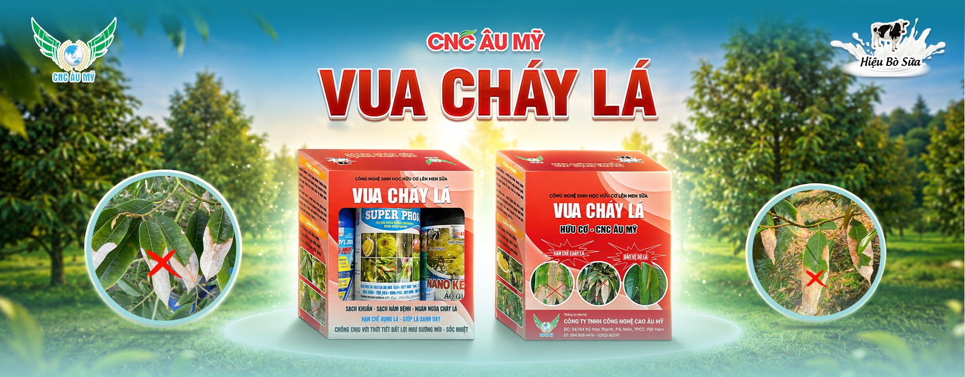 CHÁY LÁ