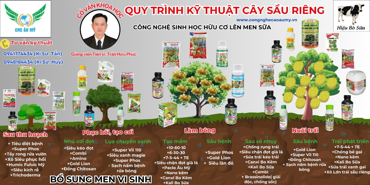 Quy trình sầu riêng