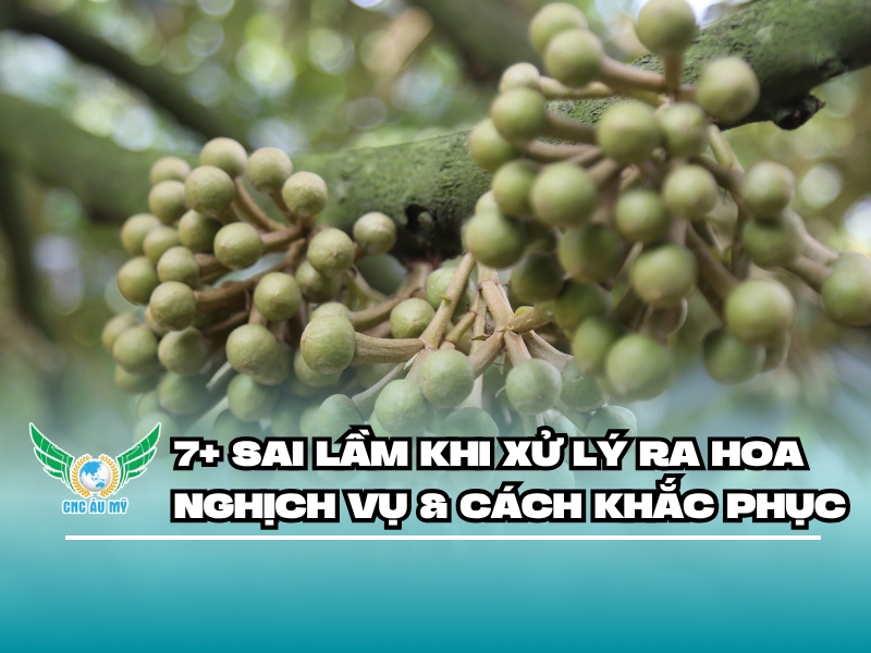7+ Sai lầm khi xử lý ra hoa nghịch vụ & cách khắc phục 