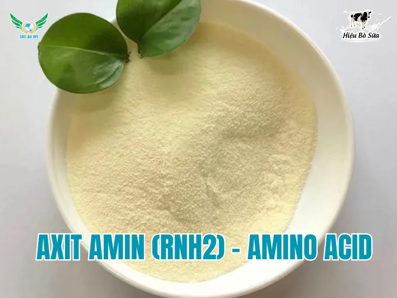 Amino Axit