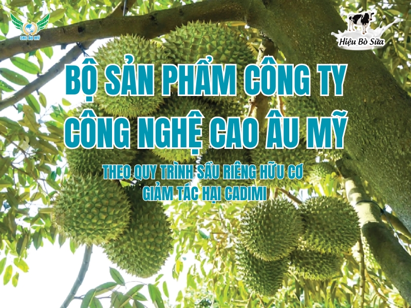 BỘ SẢN PHẨM CÔNG TY CÔNG NGHỆ CAO ÂU MỸ 