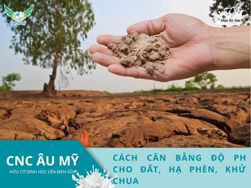 CÁCH CÂN BẰNG ĐỘ pH CHO ĐẤT, HẠ PHÈN, KHỬ CHUA