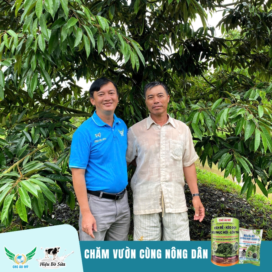 CHĂM VƯỜN GIAI ĐOẠN PHỤC HỒI CÙNG KỸ SƯ ÂU MỸ