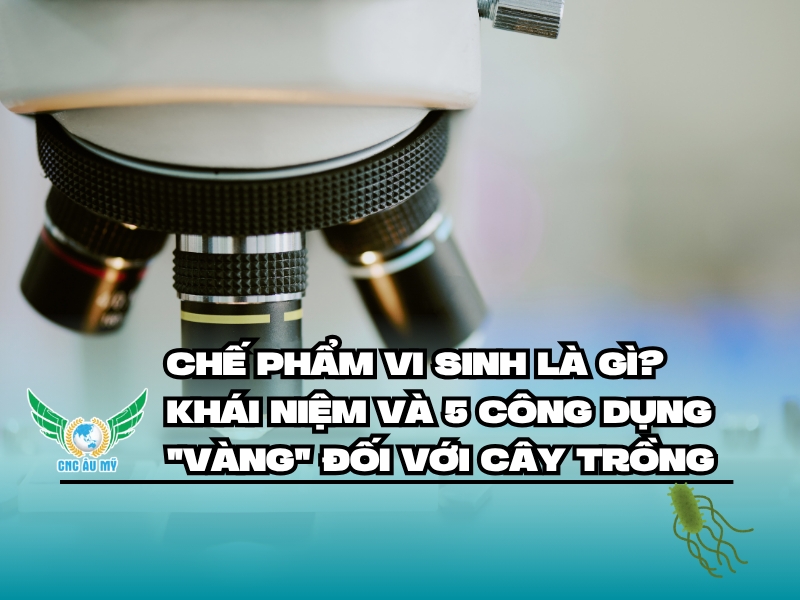 CHẾ PHẨM VI SINH LÀ GÌ? KHÁI NIỆM VÀ 5 CÔNG DỤNG 