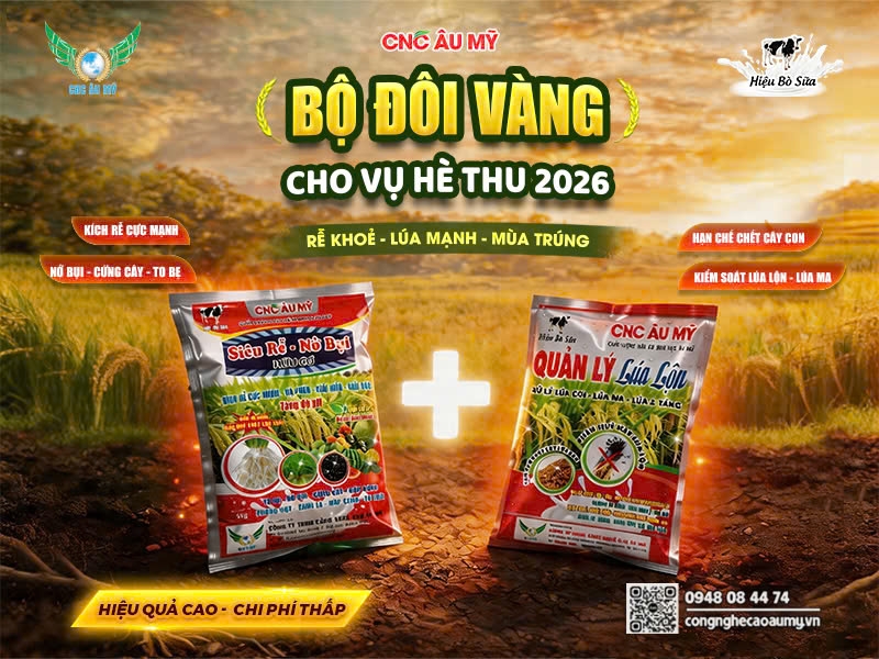 CHIẾN DỊCH BANNER QUẢN LÝ LÚA LỘN & TÚI 5KG VỤ HÈ THU 2026