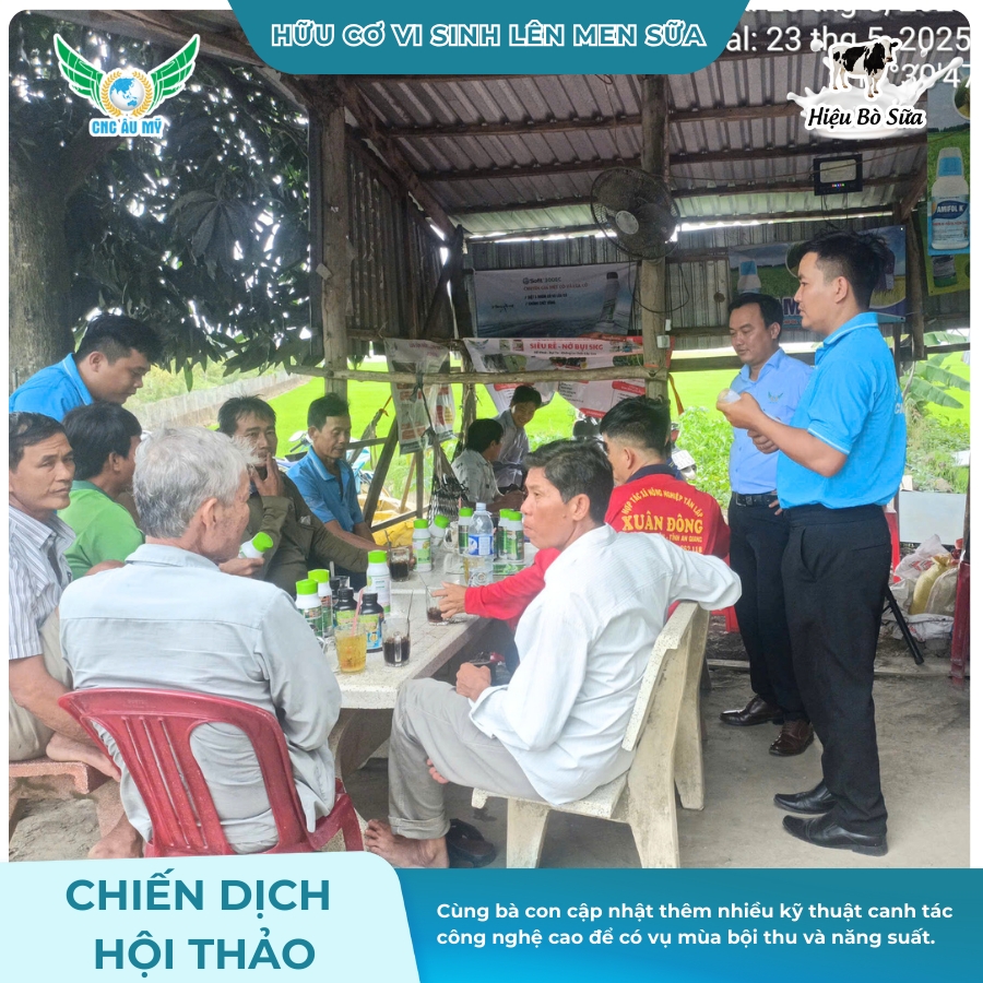 Chiến Dịch Hội Thảo Lần 31 - An Giang