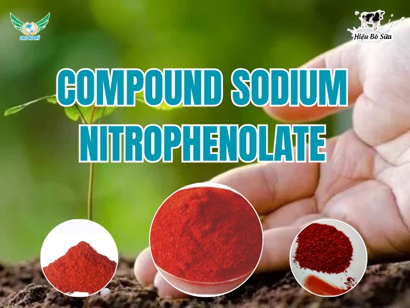 Compound Sodium Nitrophenolate