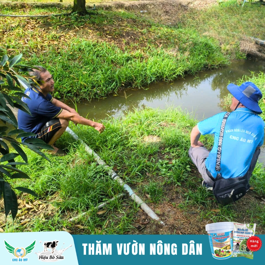 Công Nghệ Cao Âu Mỹ - Đồng hành cùng nhà nông chia sẻ kiến thức, kỹ thuật trồng sầu riêng