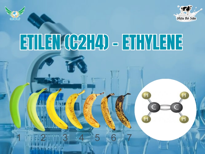 Etilen (C2H4) - Ethylene
