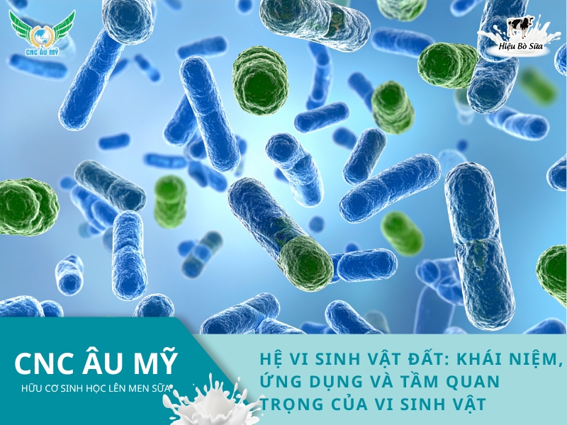 HỆ VI SINH VẬT ĐẤT: KHÁI NIỆM, ỨNG DỤNG VÀ TẦM QUAN TRỌNG CỦA VI SINH VẬT