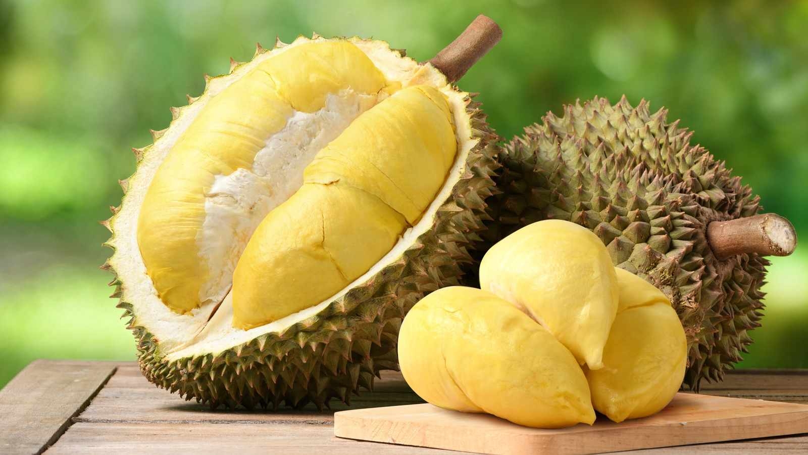 Khám Phá Các Giống Sầu Riêng Phổ Biến Tại Việt Nam Và Đông Nam Á