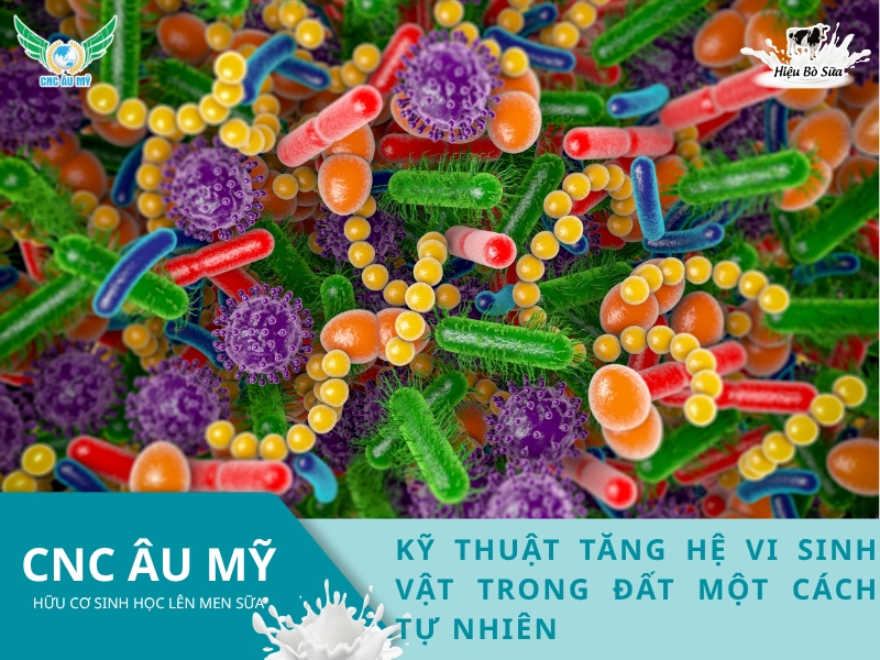 KỸ THUẬT TĂNG HỆ VI SINH VẬT TRONG ĐẤT MỘT CÁCH TỰ NHIÊN