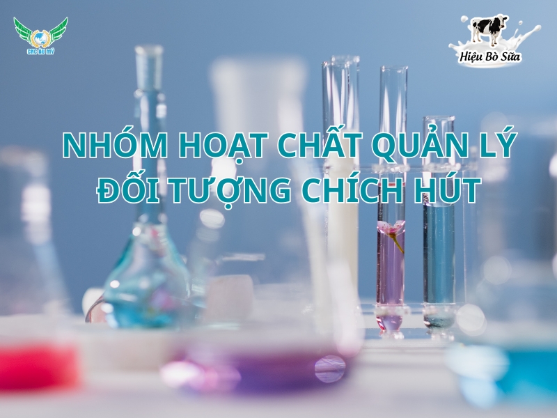 NHÓM HOẠT CHẤT QUẢN LÝ ĐỐI TƯỢNG CHÍCH HÚT