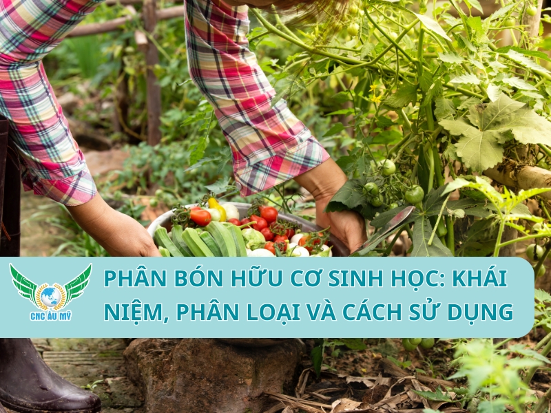 PHÂN BÓN HỮU CƠ SINH HỌC: KHÁI NIỆM, PHÂN LOẠI VÀ CÁCH SỬ DỤNG