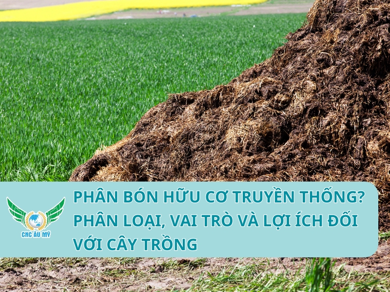 Phân bón hữu cơ truyền thống? Phân loại, vai trò và lợi ích đối với cây trồng