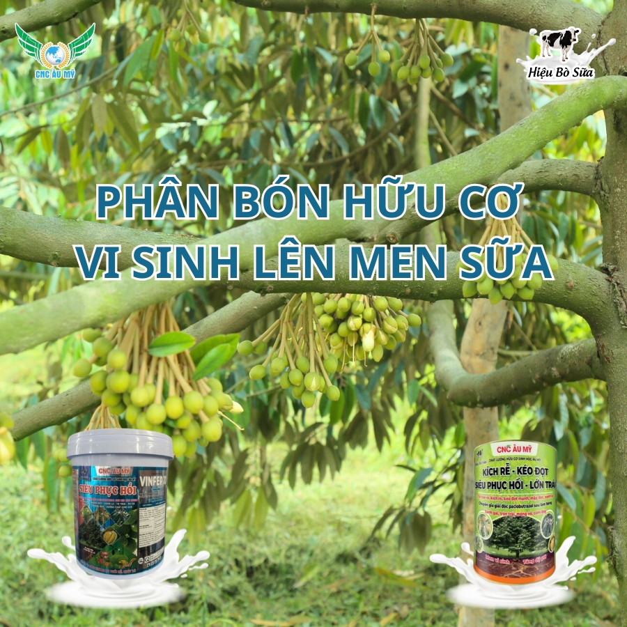 Phân bón hữu cơ vi sinh lên men sữa - Bí quyết nuôi dưỡng cây trồng khỏe mạnh tự nhiên