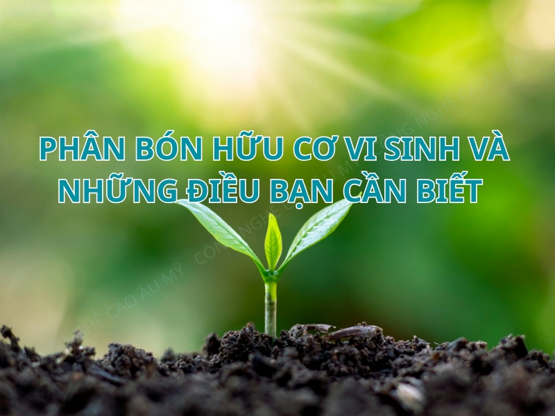 PHÂN BÓN HỮU CƠ VI SINH VÀ NHỮNG ĐIỀU BÀ CON CẦN BIẾT