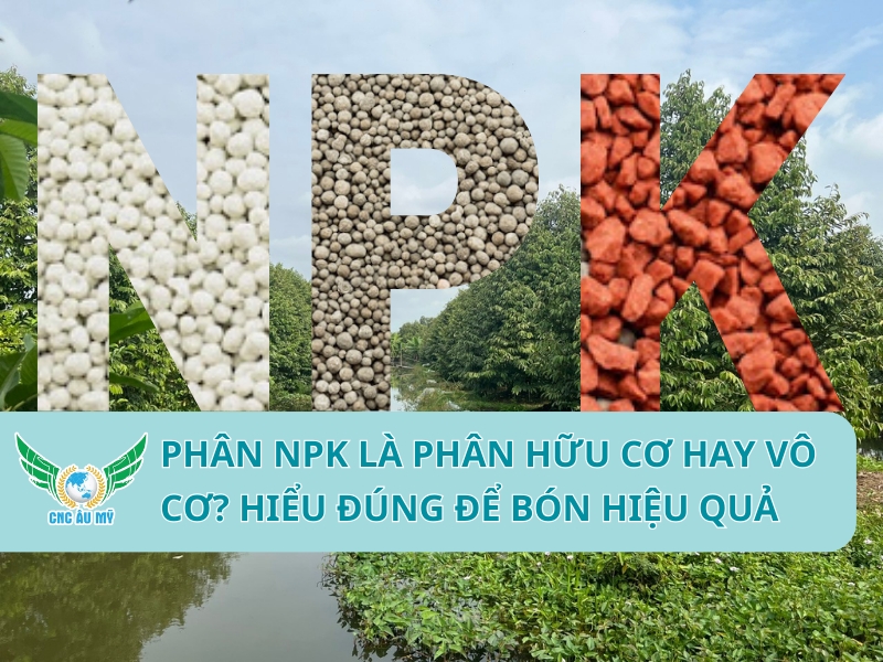 Phân NPK là phân hữu cơ hay vô cơ? Hiểu đúng để bón hiệu quả