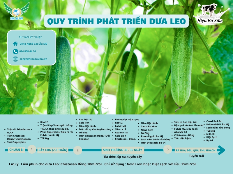 QUY TRÌNH CANH TÁC DƯA LEO