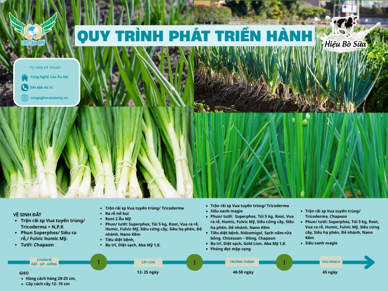 QUY TRÌNH CANH TÁC HÀNH LÁ