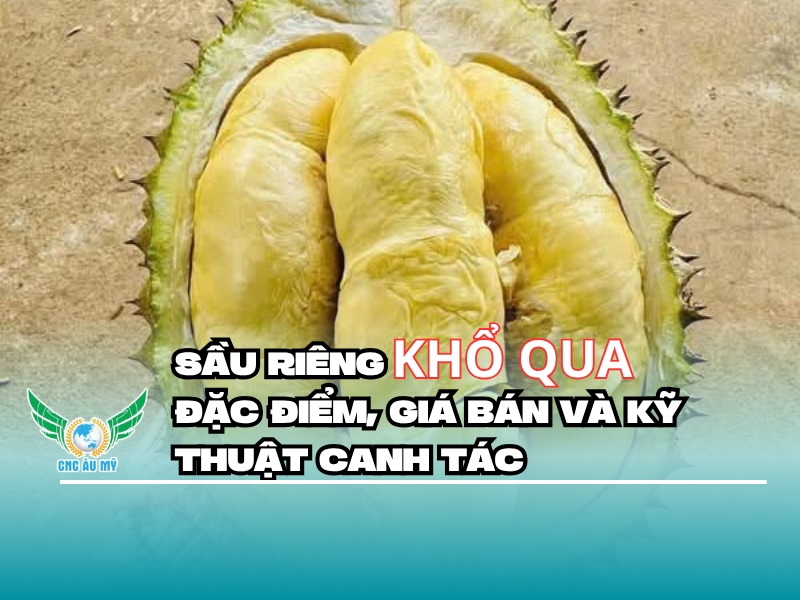 SẦU RIÊNG KHỔ QUA? ĐẶC ĐIỂM, GIÁ BÁN, CÁCH CHỌN MUA VÀ KỸ THUẬT CANH TÁC