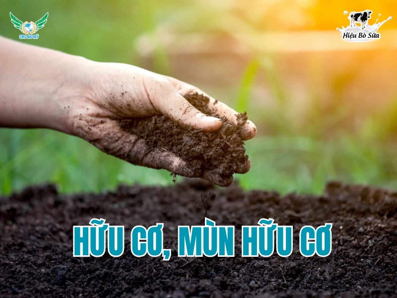 Sơ lược về chất hữu cơ, mùn hữu cơ và thang đánh giá độ phì nhiêu của đất