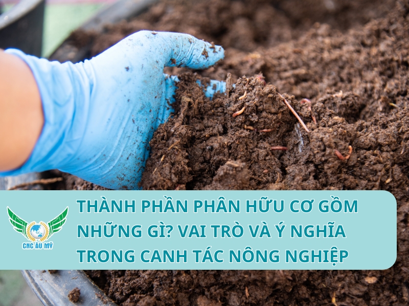 Thành phần phân hữu cơ gồm những gì? Vai trò và ý nghĩa trong canh tác nông nghiệp