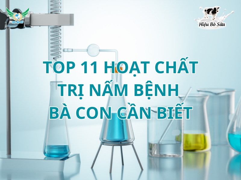 TOP 11 HOẠT CHẤT TRỊ NẤM BỆNH VÀ NHỮNG ĐIỀU CẦN BIẾT