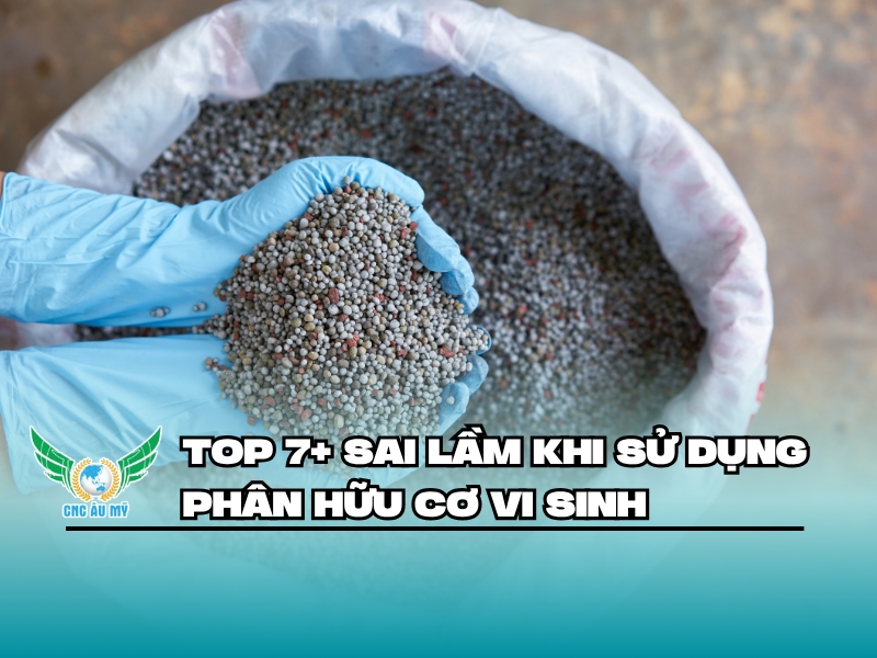 TOP 7+ SAI LẦM KHI SỬ DỤNG PHÂN HỮU CƠ VI SINH 