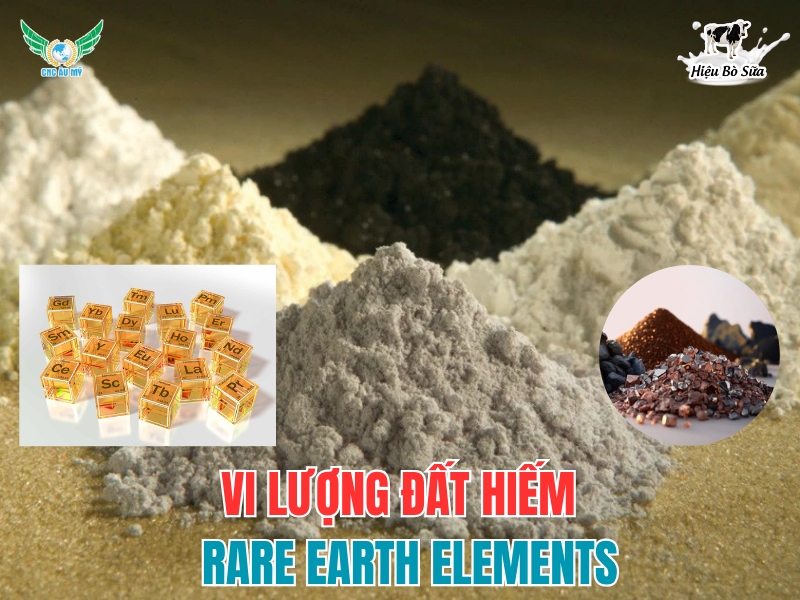Vi lượng đất hiếm - Rare Earth Elements