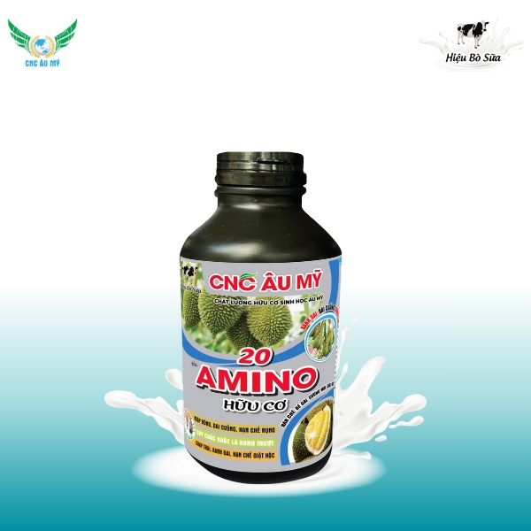 20 AMINO