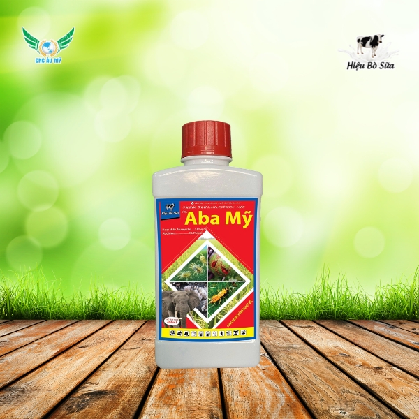 ABA MỸ