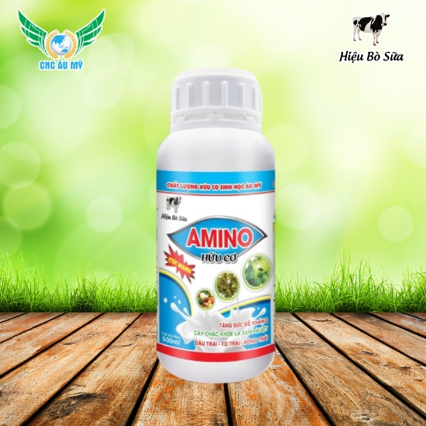 AMINO HỮU CƠ