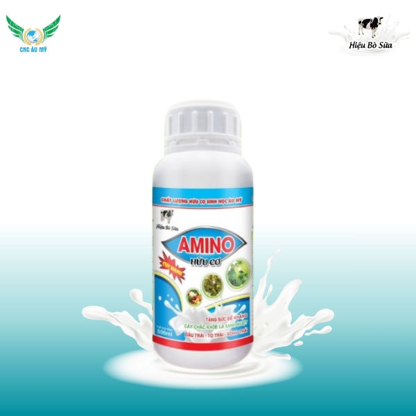 AMINO HỮU CƠ