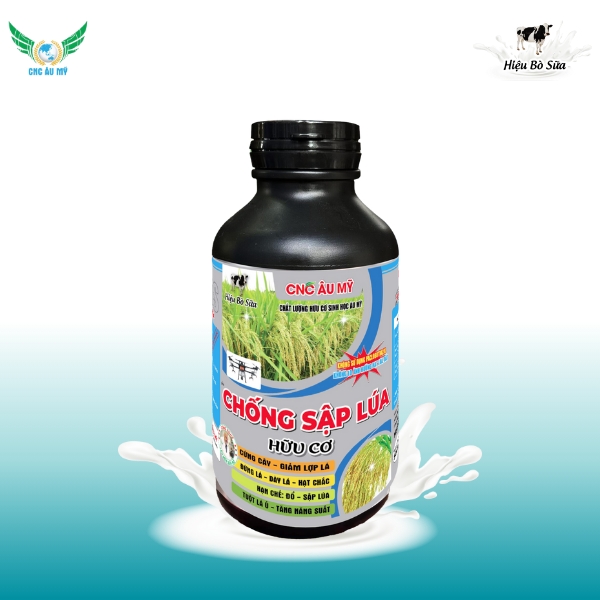 CHỐNG SẬP LÚA