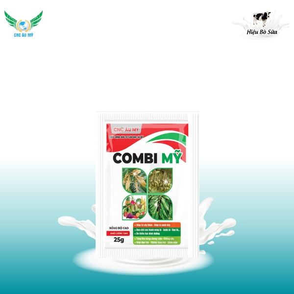 COMBI MỸ