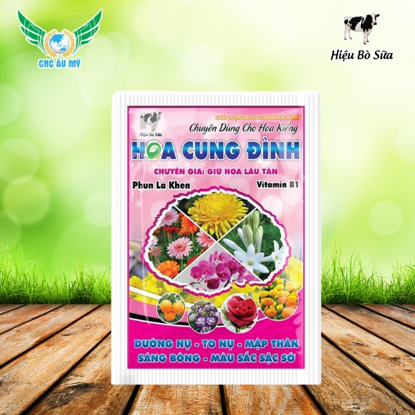 HOA CUNG ĐÌNH