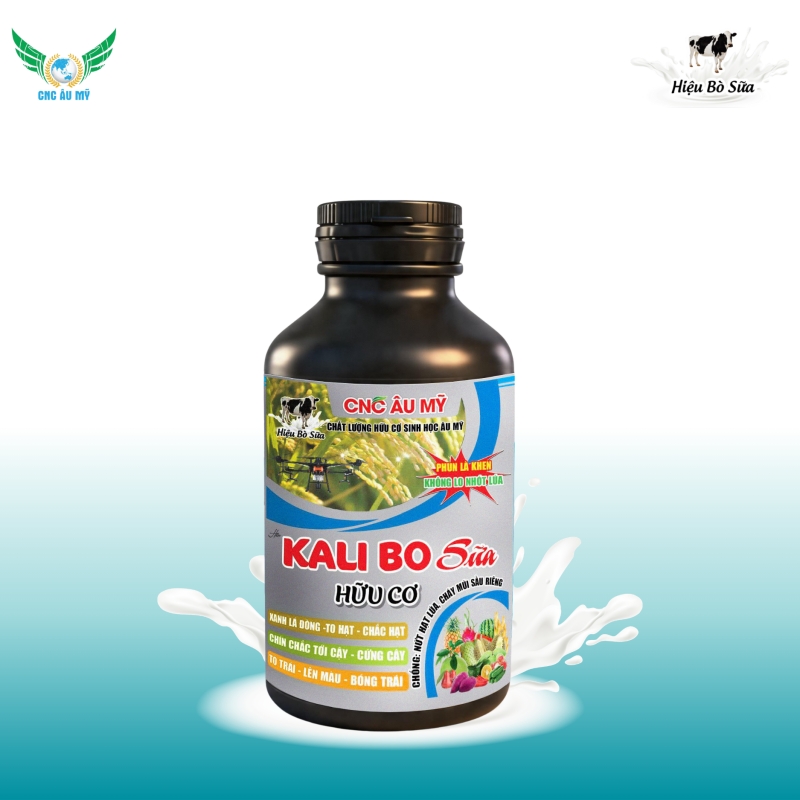 KALI BO SỮA LÚA