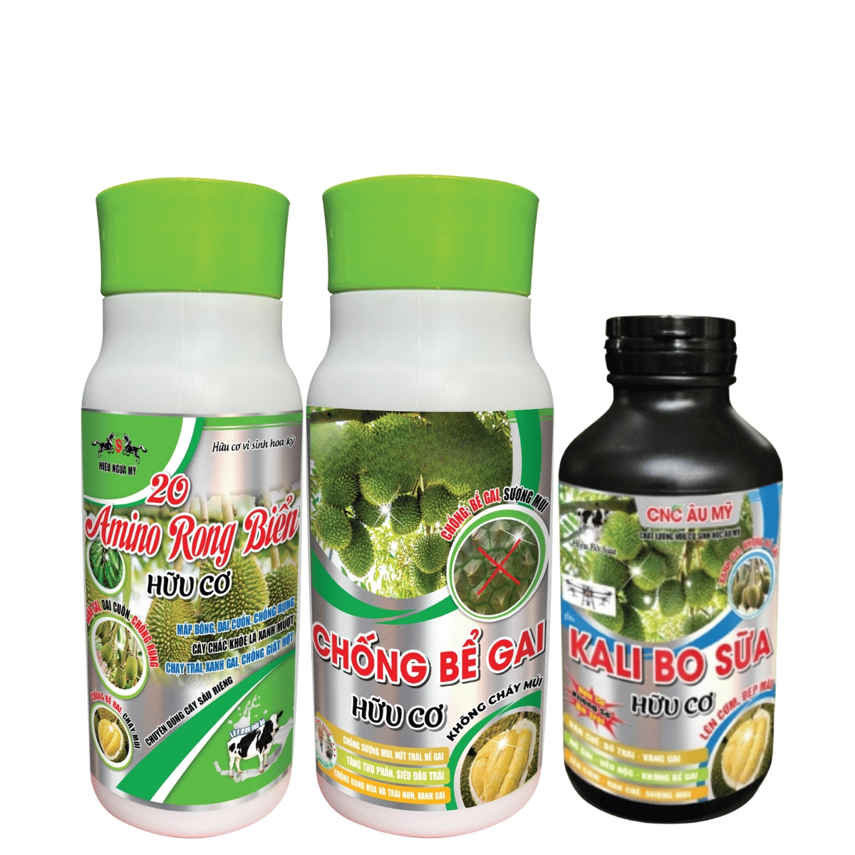 Lên Cơm Tạo Màu