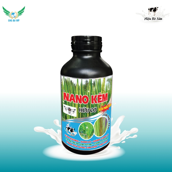 NANO KẼM