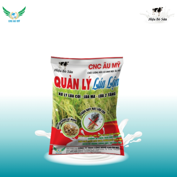 QUẢN LÝ LÚA LỘN
