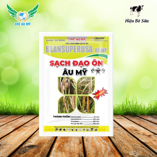 SẠCH ĐẠO ÔN ÂU MỸ