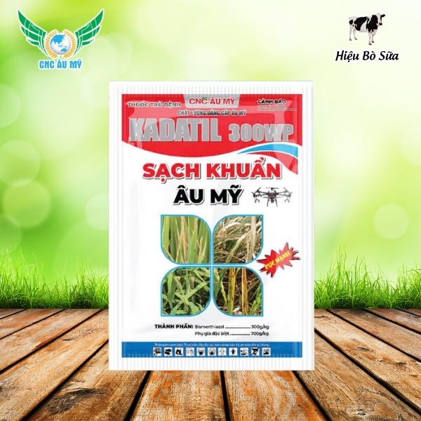 SẠCH KHUẨN ÂU MỸ