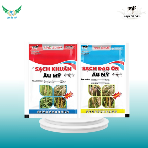 SẠCH KHUẨN - ĐẠO ÔN ÂU MỸ